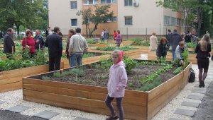 Egy éves a kerület első közösségi kertje