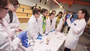 A természettudományos tantárgyakat népszerűsíti a Bayer oktatási programja